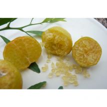 Limone caviale Ovale Eremorange (Citrus glauca x Citrus sinensis) foto reali