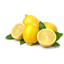 Limone Lunario 4 Stagioni in vaso 20 cm