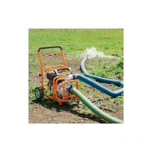 Evolution Power Tools - Bomba de agua evo DWP1000