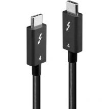 Lindy - Câble d'afficheur usb-c usb-c mâle, usb-c mâle 1.00 m noir 31120 C199022