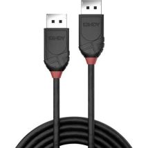 Câble de raccordement Lindy DisplayPort Fiche mâle DisplayPort, Fiche mâle DisplayPort 0.50 m noir 36490 Câble DisplayP