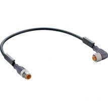 Belden - 29633-1 Connettore confezionato per sensore o attuatore M12 Spina dritta, Presa angolata 3.00 m Numero di poli: