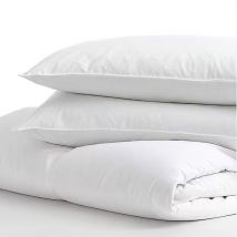 Linens Limited - Anti-Allergy Hollowfibre Pillow