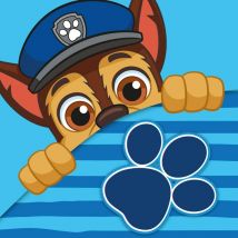 Serviette magique 30x30 cm Paw Patrol chiens bleu Magic