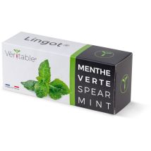 Recharge de menthe verte – Graines de fleurs – Exposition, Période de plantation / semis, Couleur de fleur – Véritable
