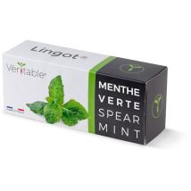Veritable - pack de recharge pour jardin intérieur lingot minze 128 mm 1 pc(s) VLIN-A10-MEN009