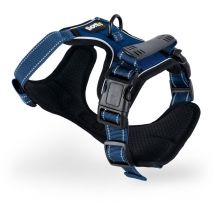 Hundegeschirr gepolstert und reflektierend, Größe m, blau - Lionto