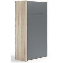 Les Tendances - Lit Escamotable Vertical 140x200 Kibou-avec Matelas-coffrage Vison 3d-façade Vison 3d