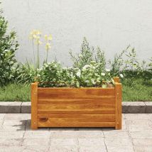 Furniture Limited - Lit surélevé de jardin Bois d'acacia 50x25x25