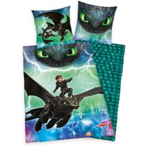 Literie coton 135x200 Dragons Hoquet et Krokmou taie d'oreiller 80x80 H24
