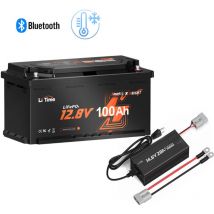 Litime - 12V100Ah Batterie Lithium LiFePO4 Bluetooth pour Camping-car, rv, Caravane &12V 20A Lithium Chargeur de Batterie(Expédition en Deux Colis)