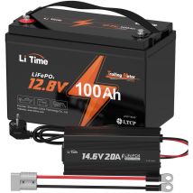 Batterie au lithium LiFePO4 12V 100Ah tm protection à basse température & 12V 20A Lithium Chargeur de Batterie(Expédition en Deux Colis) - Litime
