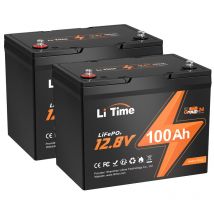 12V 100Ah Groupe 24 LiFePO4 Batterie au Lithium avec bms 100A, Rechargeable, 4000-15000 Cycles Profonds, pour Camping-cars, Caravane, Système