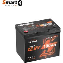 12V 100Ah Groupe 24 Bluetooth LiFePO4 Batterie au Lithium avec bms 100A, Rechargeable, 4000-15000 Cycles Profonds, pour Camping-cars, Caravane,