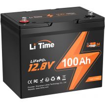 12V 100Ah Groupe 24 LiFePO4 Batterie au Lithium avec bms 100A, Rechargeable, 4000-15000 Cycles Profonds, pour Camping-cars, Caravane, Système
