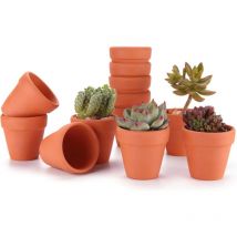 6.5CM 12pcs Pot de Succulent en Terre pour Cactus Fleurs Plantes, Terracotta Pot Argile pour Cactus Succulent Plantes Fleur Décoration Horticole
