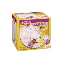 Maisange - Bola de ejercicio de plástico Living World