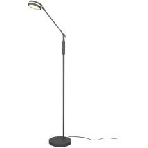 Trio Leuchten - Lámpara de Pie Lineal Touch Led Disco Ajustable Franklin Antracita Trio Iluminación