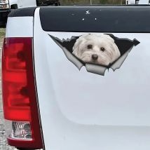 Autocollant de voiture autocollant 15 cm (5,9 pouces) blanc autocollant réfléchissant 3D autocollant de voiture déchiré autocollant de voiture drôle