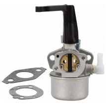 Kit de carburateur pour motoculteur Briggs Stratton 696065 - Pièces de rechange avec joint en métal - Lntyq
