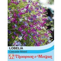 Thompson&morgan - Lobelia Cascade Mixed 1 Packet (1000 Seeds + 25% Extra Free)