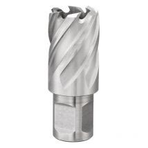 Lochschneider mit 52 mm Weldon-Aufsatz Fervi f011/52