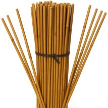 Suinga - Lot de 100 Tuteur en Bambou 60 cm, 5-8 mm, Tubes en Bambou pour Plantes et Arbres, Baguettes de bambou, Canne de bambou, Tuteurs