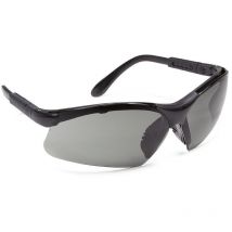 Centrale Brico - 10er-Set - theta Schutzbrille - Getönt