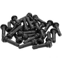 Lot de 100 valves TR414