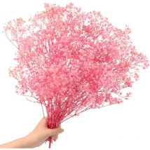 Lot de 100g Gypsophile Séché Fleurs Séchées 2000+Naturelles Naturel Gypsophila Fleurs Séchées pour Décoration de Mariage Décoration de Cheveux