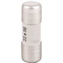 Fusible aM 22x58 sans percuteur 100A