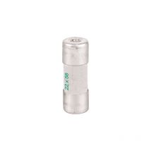 Eur Ohm - Fusible aM 22x58 à percuteur 125A