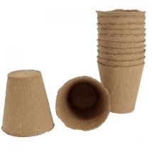 Lot de 12 godets en fibre de diamètre 8cm unitaire