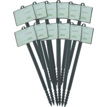 Etiquettes pour plante vierge x12