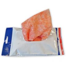 Lot de 12 lingettes nettoyantes pour les mains roxy hand cleaner