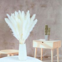 Lot de 15 grandes joncs artificiels en herbe de pampa pour remplissage de vase, maison, cuisine, mariage, bureau, décoration bohème