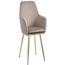 Homy France - Lot de 2 Chaise canvas en velours pieds gold Taupe