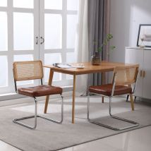 Hauss Spole - Lot de 2 Chaises de salle à manger en rotin et cuir avec pieds en métal (Rectangle, marron)