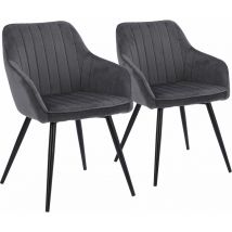 Happy Garden - Lot de 2 chaises en velours bertille grises