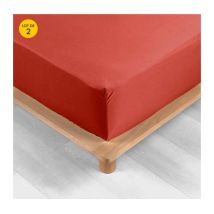 Lot de 2 Drap housse percale de coton 78fils ultra doux 160 x 200 cm Tomette