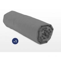 Lot de 2 draps housse uni coton 57 fils gris foncé 160x200 cm bonnet 25 cm