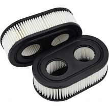 Lot de 2 filtres à air pour tondeuse à gazon Briggs & Stratton Noir Accessoires de tondeuse