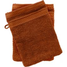 Lot de 2 gants de toilette naïa