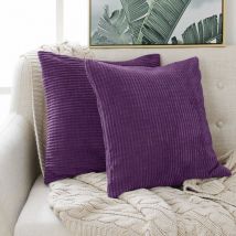 Lot de 2 Housse de Coussin Violet Clair en Velours 50x50cm pour Salon Housse De Coussin Decoratif