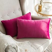 Lot de 2 Housses de Coussins en Velours Dcoratif Canap Taie d'oreiller Super Lisse Doux Decoration Maison Salon Chambre pour Canap 2 Pices 30X50CM