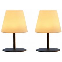 Lumisky - Set de 2 lampes de table sans fil led twins Gris Acier H16CM
