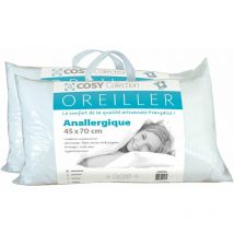 Lot de 2 oreillers 45x70 - Anallergique