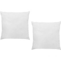Lot de 2 oreillers 60 x 60 cm de dreamea - 400gr - biesya