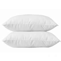 Lot de 2 oreillers anti-acariens 45 x 70 cm phytopure