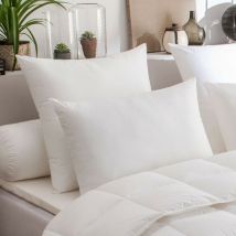 Lot de 2 oreillers maxiconfort thermolite ultra dodo